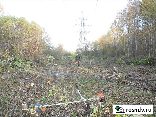 Бизнес в сфере лесного хозяйства (лэп) Петрозаводск - изображение 1