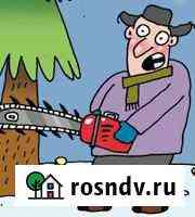 Спил деревьев Новокузнецк