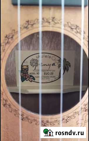 Укулеле концерт Улан-Удэ - изображение 1