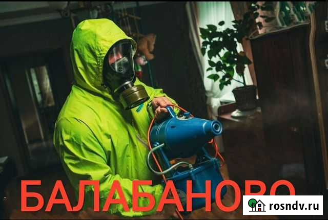 Дезинфекция Балабаново - изображение 1