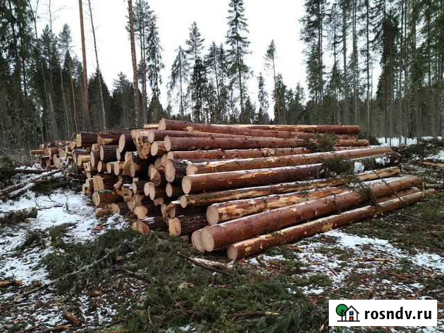 Льготный лес для строительства дома.лесобилетнаряд Устюжна - изображение 1