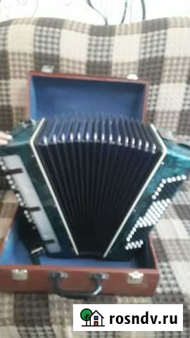 Баян Тамбов - изображение 1