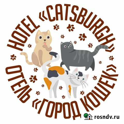 Гостиница, передержка Гостевой дом Город кошек Тверь - изображение 1