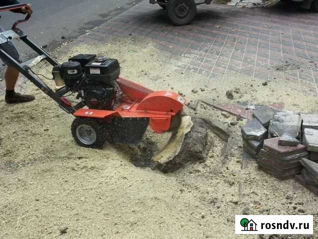 Удаление пней, методом фрезеровки (дробления) Батайск - изображение 1