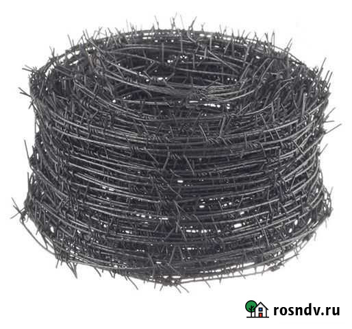 Колючка Полярные Зори - изображение 1