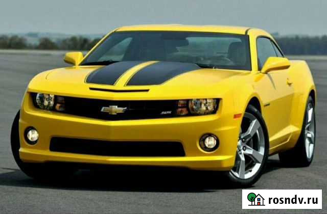 Трезвый водитель Балашиха - изображение 1