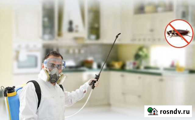 Уничтожение тараканов, клопов, клещей, грызунов Элиста - изображение 1