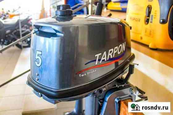 2-х тактный двигатель Tarpon T 5S Воронеж