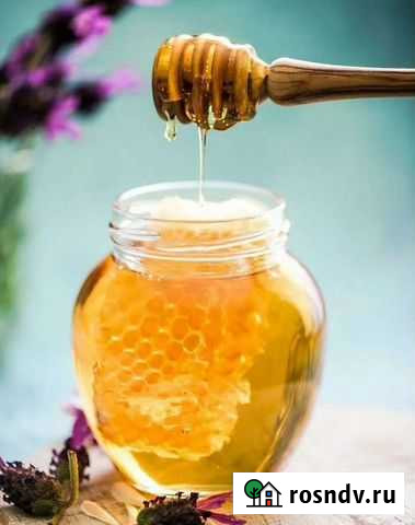 Мед Тамбов - изображение 1