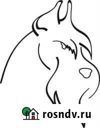 Стрижки собак и кошек, домашние и модельные Благовещенск - изображение 1