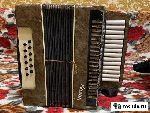 Аккордеон Казань Набережные Челны - изображение 1