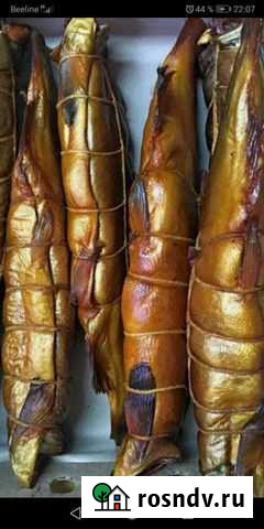 Рыба горячего и холодного копчения и на заказ Набережные Челны - изображение 1