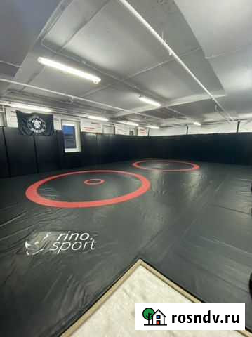 Центр Спорта и Тренировок спарта. аренда зала Санкт-Петербург - изображение 1