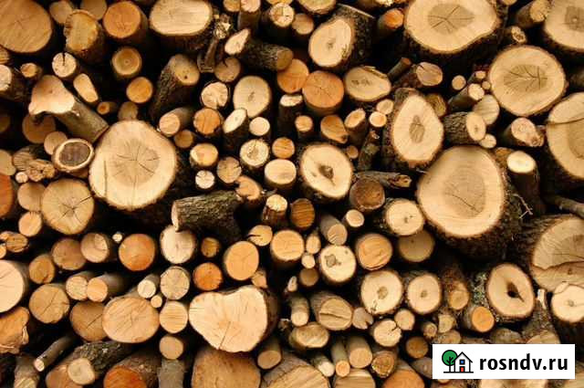 Дрова Гиагинская - изображение 1