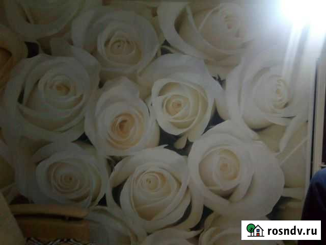 Косметический ремонт Красноярск - изображение 1