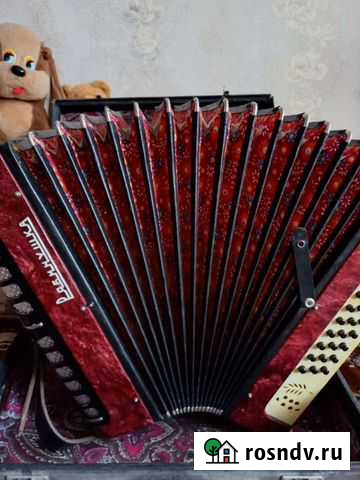 Гармонь тульская Стерлитамак - изображение 1