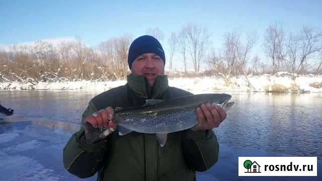Проведение Новогодних Каникул на Рыбалке 2022 Петропавловск-Камчатский - изображение 1