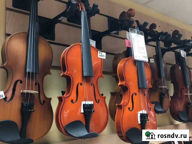 Скрипки (любых размеров) Нижний Новгород - изображение 1