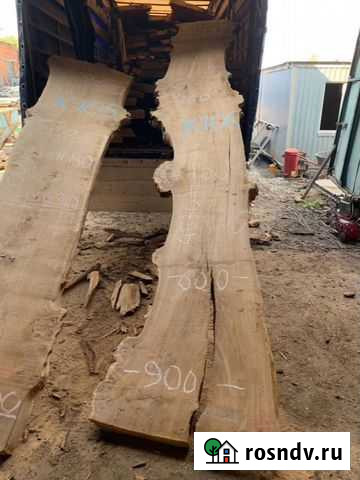 Слэб карагача / слэбы из дерева Люберцы - изображение 1