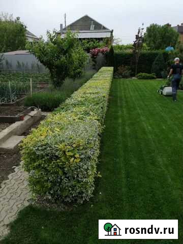 Услуги садовника.Уходные работы.Озеленение участка Краснодар - изображение 1