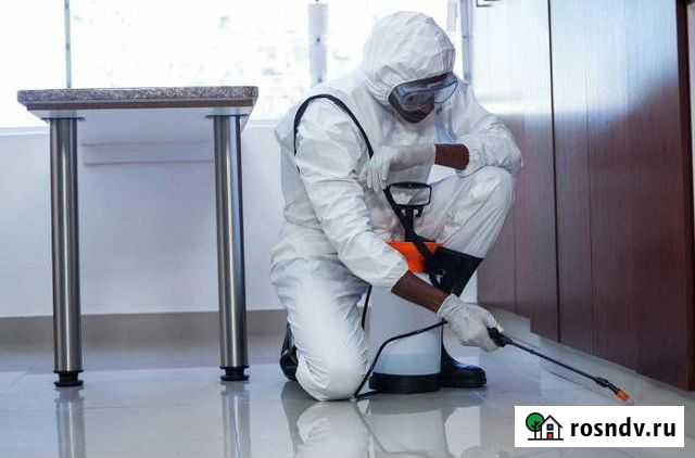 Дезинфекция Томск - изображение 1