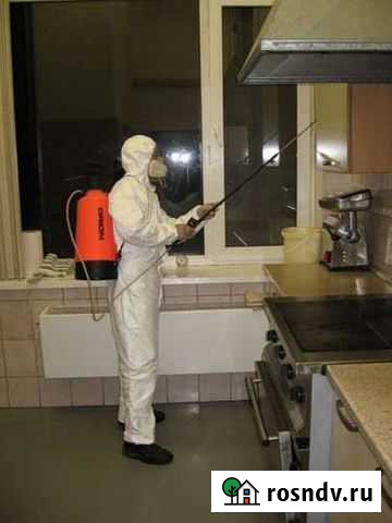 Дезинсекция, дератизация, дезинфекция, озонация Новосибирск - изображение 1