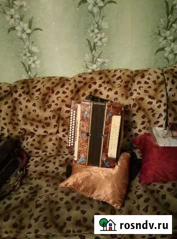 Гармонь Ливны - изображение 1