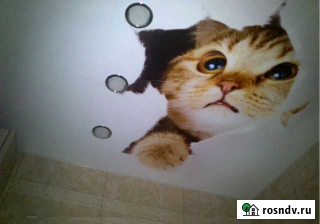 Натяжной потолок Мытищи - изображение 1