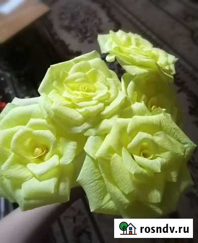 Подарки по поводу и без Тверь - изображение 1