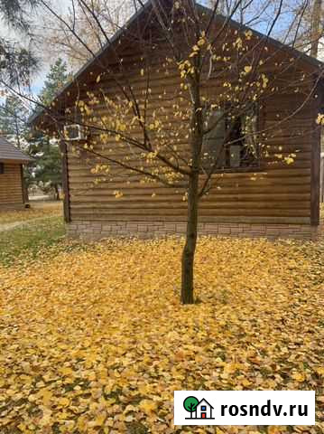 Готовые обеды Заплавное - изображение 1