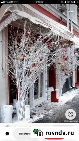 Художник/Флорист/Декоратор Сочи - изображение 1