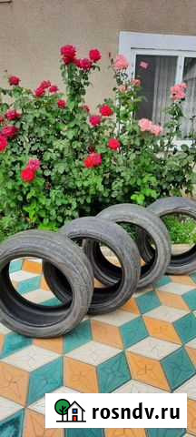 Шины Белиджи - изображение 1