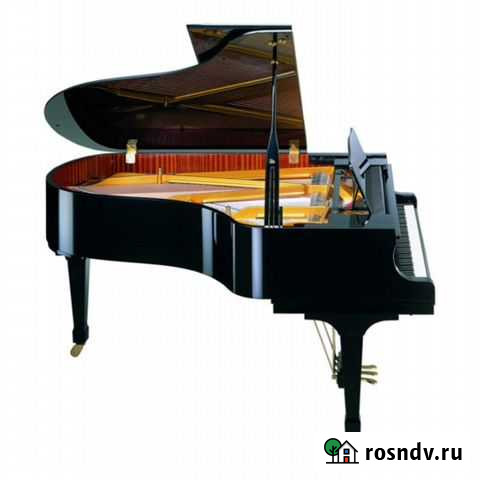 Рояль Becker cbgp-150-2 PB + доставка бесплатно Екатеринбург - изображение 1