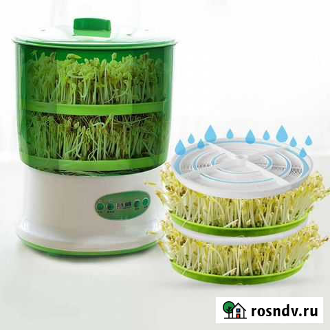 Проращиватель семян. Микрозелень Ступино - изображение 1