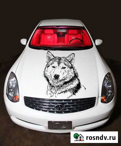 Наклейки на авто, заднее лобовое стекло Казань - изображение 1