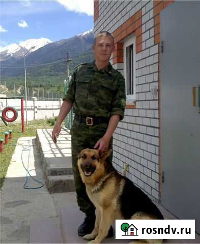 Услуги кинолога Краснодар - изображение 1