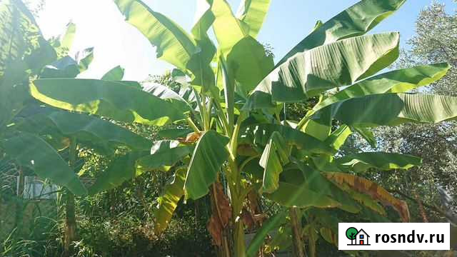 Детский сад Ясли Челябинск - изображение 1