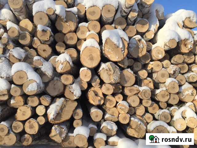 Береза кругляк 5000м Николо-Павловское - изображение 1