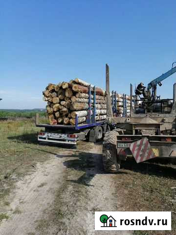 Закупаем пиловочный кругляк, потдонку под тарную д Морки - изображение 1