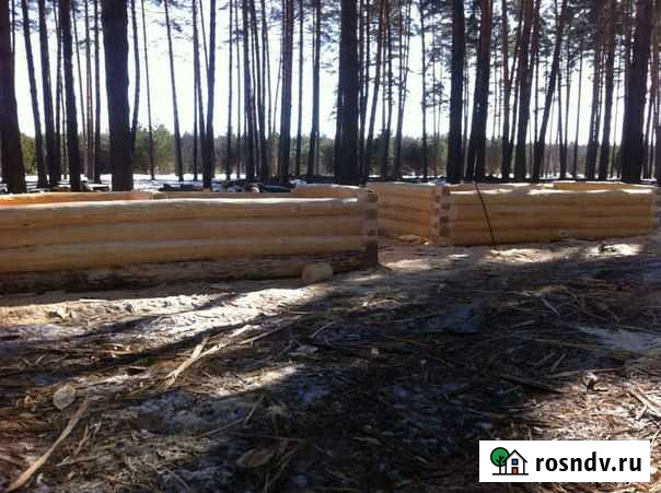 Срубы из липы Канаш - изображение 1