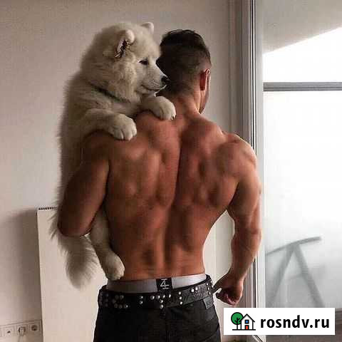 Фитнес тренер Воронеж - изображение 1