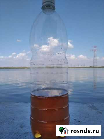 Ваш отдых Ростов-на-Дону - изображение 1