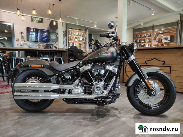 Softail Slim 2021 Harley-Davidson River Rock Gray Казань - изображение 1