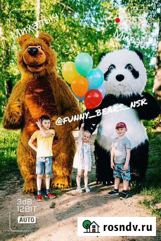 Веселые мишки на праздник Новосибирск - изображение 1