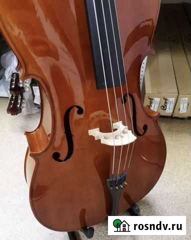 Виолончель Рязань - изображение 1