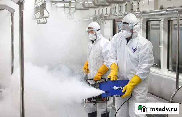 Сэс. Уничтожение тараканов,клопов и др. насекомых Новосибирск - изображение 1