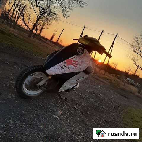 Хонда дио 28zx stunt пушка 72сс Жаворонки - изображение 1