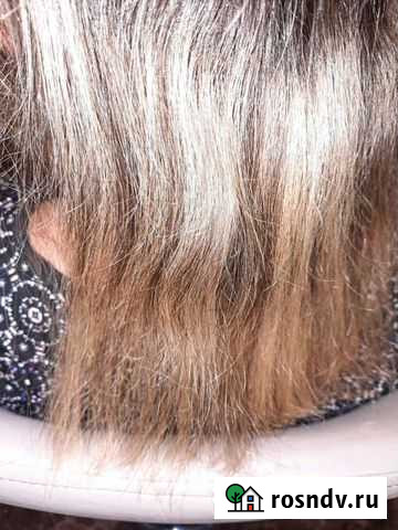 Полировка волос Калининград - изображение 1