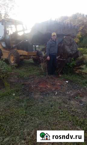 Корчевание деревья Экскаватор погрузчик демонтаж Заокский - изображение 1