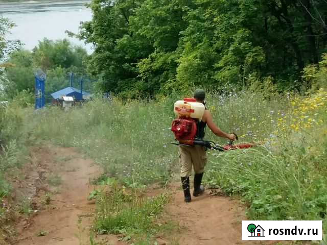 Обработка гербицидами и покос травы тримером Брянск - изображение 1